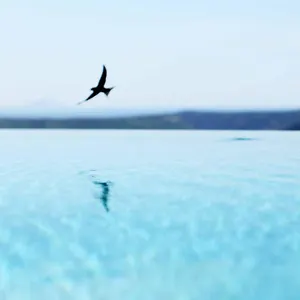 Stefanija Small Boutique Hotel&restaurant Kroatien